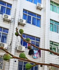 �������ġ��Ҽҵ��޻�������ã���ҽ��