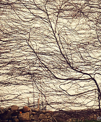 �������ġ�������Ȼ���ˣ���һ����Ȼˮī��