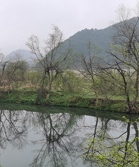 溜车国省道随拍路边小景