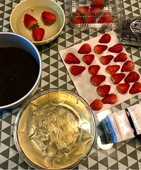 ˫ݮ����Ľ˹�����迾������ͣ�����С������