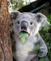 ����һ��ѧ������ĸ��13���ع����ȱ�����