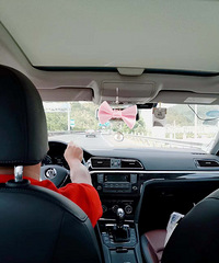 【旅行记忆】国庆自驾+绿皮小火车(嘉兴+乌镇+上海)