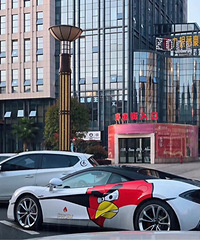 ���������ġ�ƶ���������ҵ�����