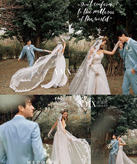 ���������紺ԭ����Ʒ����  һ�۾��Ķ���