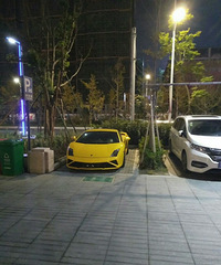 ����ɹ����ţ����������