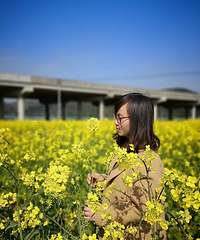 �Ͳ˻����ƣ�һ�崺������ƣ�