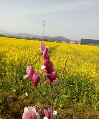 �������ġ��Ͳ˻�