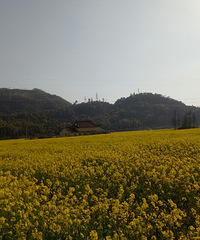 �������ġ��Ͳ˻�