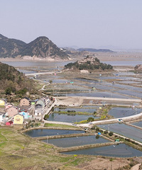 再访大周村,百米高的山岗上,三面视角都好