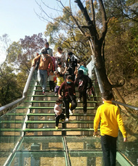 ����ɽ��԰���ģ�������������Ķ࣬������������