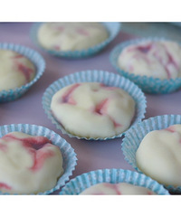 ѩ�������ܽ