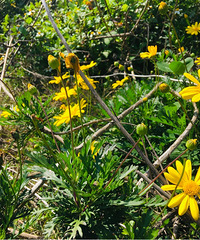 ���۸��᡿ÿ���5��ļ�ͥ�����й���ʲôˮƽ��