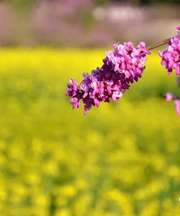 ��2020̨���ͻ���ͼ��