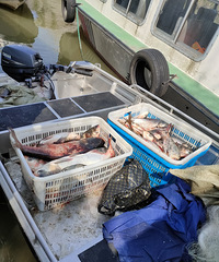 �������ġ���������Ҳ��Υ����Ŷ��?�ѣ�