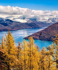 ����2020��żٰ���ʱ���������ʷ����ǿ���й���