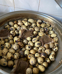 �����մ���������±���ȵ����ó�������