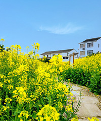 ���ϵ��Ͳ˻���