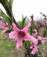 �ٺ�92���������Ȱ��������Ը�ٴ�ڴ�������