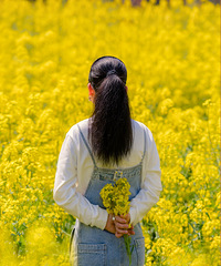 ɽ�Ͽ������黬��ɡ��ɽ��һƬ�Ͳ˻���