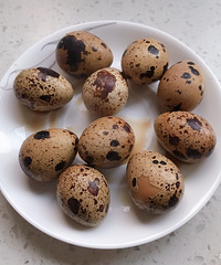 ±���ȵ����ǳ���ζ���ȵ����������ֺó�