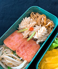 ���������ı㵱���ݳ���