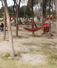 �������ġ��������ֵ��˶�������