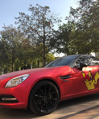 ���������ġ��ſ���ܳ����ſɰ���һ�棬����