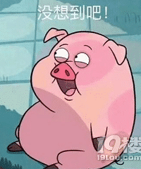 ��ҹ�����°��������Լ�����������������...