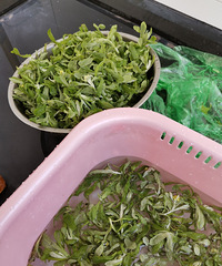 ��̨�����Y�ж���������