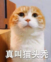 �����׶��󷢱�����������ˣ���̫����