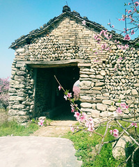 ��������֮��