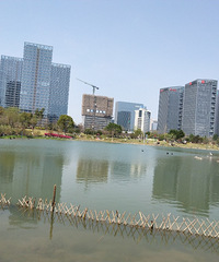 �������ġ�2����������һ�ε���԰