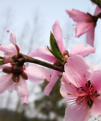 �������ġ�ͼƬ��ɫ����ʲô������֪����