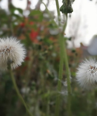 �������ġ�ͼƬ��ɫ����ʲô������֪����