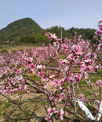 �һ�����Ц����