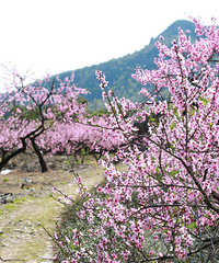 �ɾ��¸��һ�ʢ��