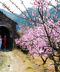 �ɾ��¸��һ�ʢ��