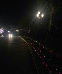 ��լ������ʢ��԰���ǳ��ľ�