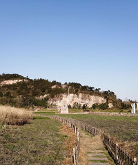 ̽�û��ප�Ŵ壺�ջ����벻���ľ�ϲ