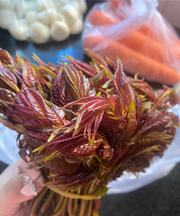 ������ڳ��㴻Ҳ�Ǹ����� �㴻������Ҳ���������