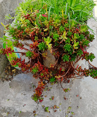 [������]�����Ķ��ⱻ�ܺ��ӻ���