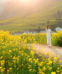 ̨���������������Ͳ˻�---���ɽ