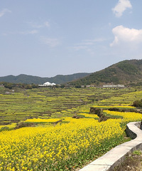 ���ݸ�شɽ���Ͳ˻�