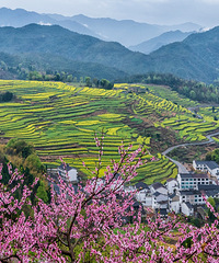 �����ɽ�Ͳ˻���ס������Ȼ����԰���