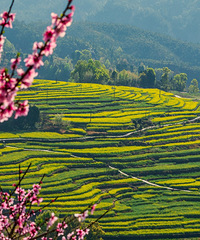 �����ɽ�Ͳ˻���ס������Ȼ����԰���