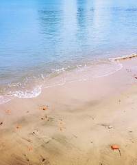 ����һ��������ķ磬��������������