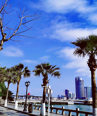 ����һ��������ķ磬��������������