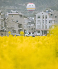 ������ǿ���Ͳ˻����ԣ����ߴ�����ŭ����~