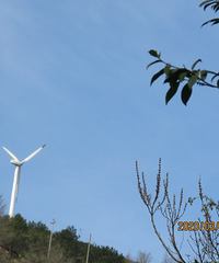 ��Ұӣʢ���ļ��ڣ��ٷò�ɽ������������