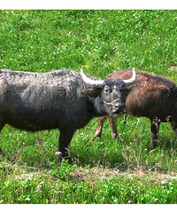 �����м��䡿�����������ȷ��ʽ